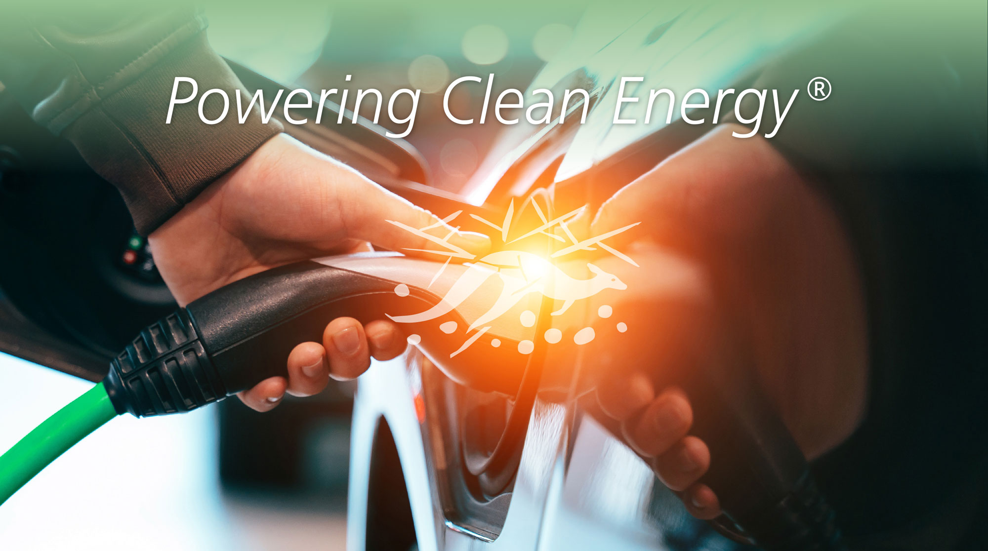An image of a kangaroo and the branding slogan "Powering Clean Energy" from Renascor Resources are displayed besides a person holding a plug to charge an electric car.